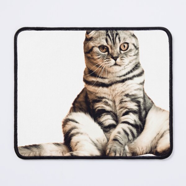 Item preview, Cool cat funny designed and sold by Ivana Ina.