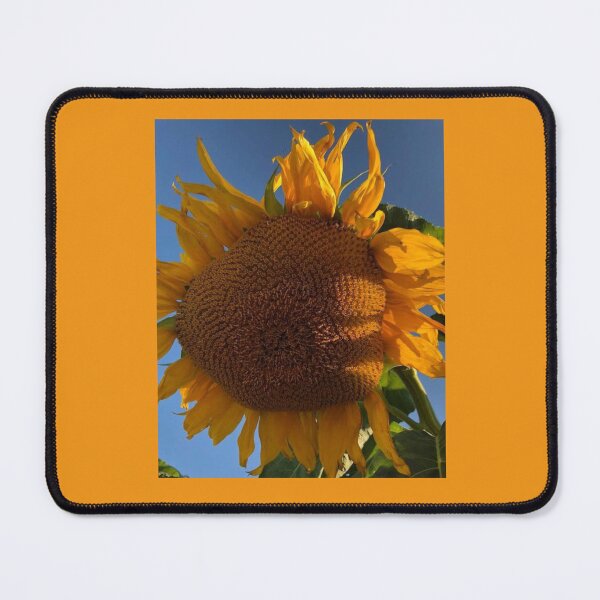 Item preview, Sunflower: Giant Sunflower Bloom T-shirts designed and sold by SoundsoftheSun.