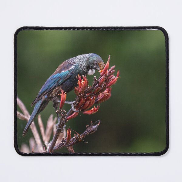 Item preview, Tui designed and sold by earlcooknz.