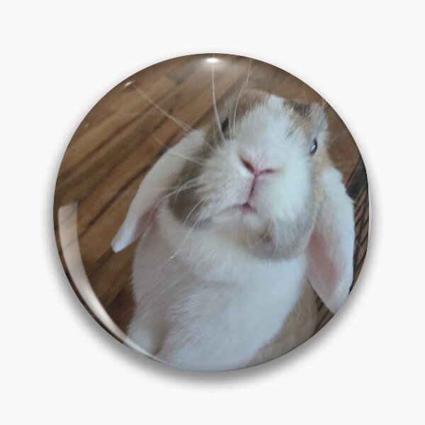 Artikelvorschau, Es ist Boos Zoom Zoom-Zeit entworfen und verkauft von BunnyBoos.