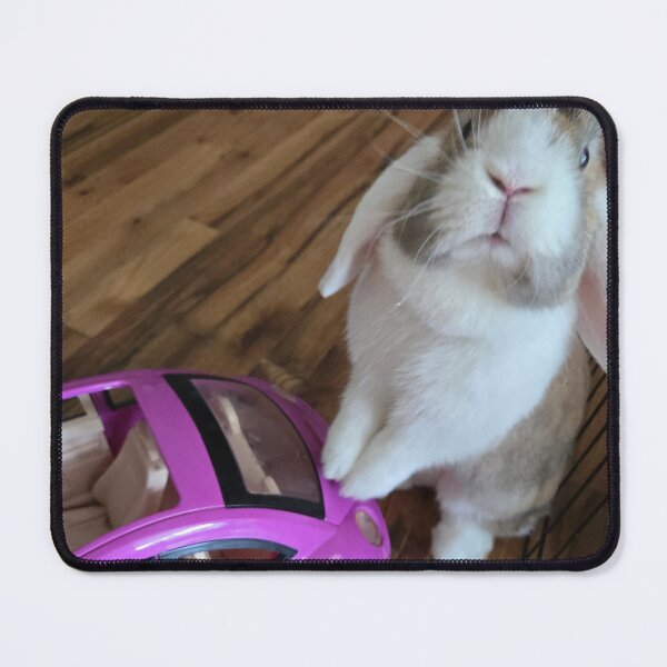 Artikelvorschau, Es ist Boos Zoom Zoom-Zeit entworfen und verkauft von BunnyBoos.