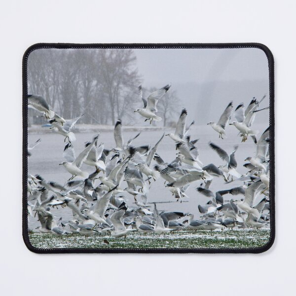 Item preview, Taking Flight designed and sold by Amethyst Air.