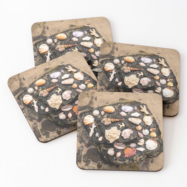 Item preview, Koh Mook Shell Collection designed and sold by Julie Navitka.
