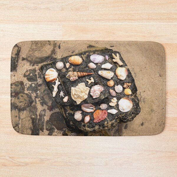 Item preview, Koh Mook Shell Collection designed and sold by Julie Navitka.