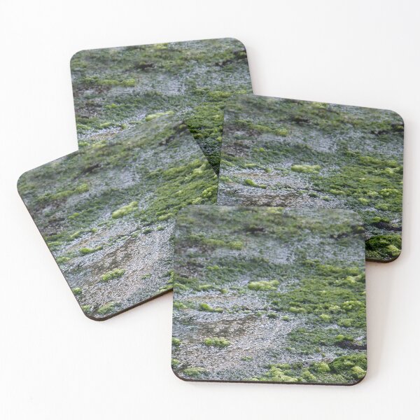 Item preview, Swamp designed and sold by heatherfriedman.