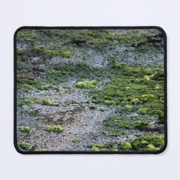 Item preview, Swamp designed and sold by heatherfriedman.