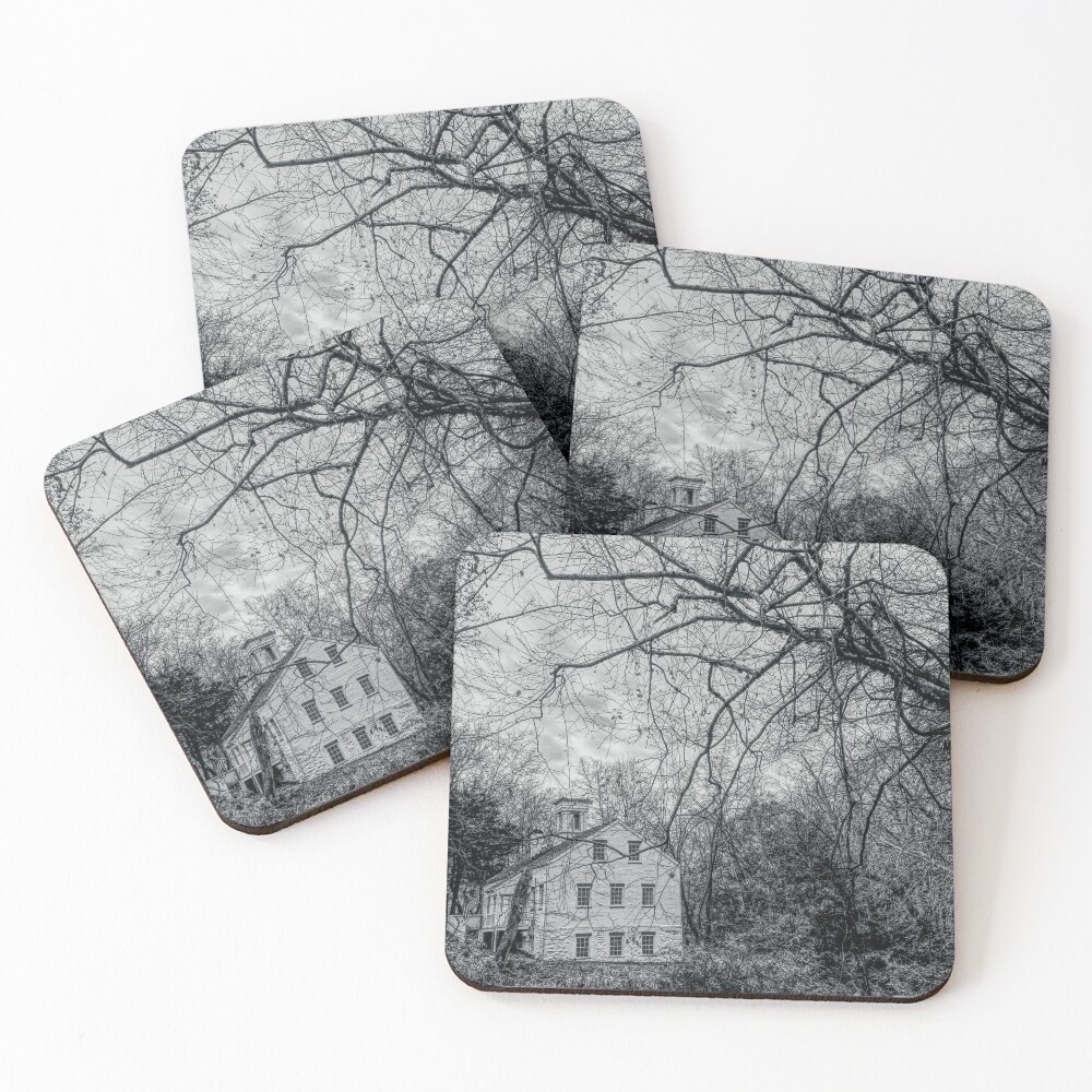 Item preview, Coasters (Set of 4) designed and sold by RVogler.