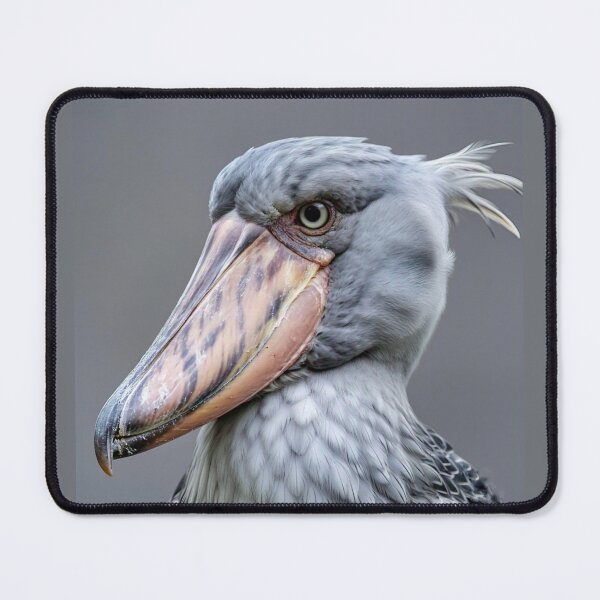 Item preview, Shoebill designed and sold by Savannah Gibbs.