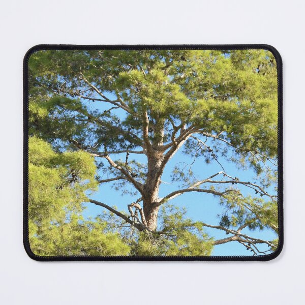 Item preview, Pretty Tree in Vegas designed and sold by MangoSeeds.