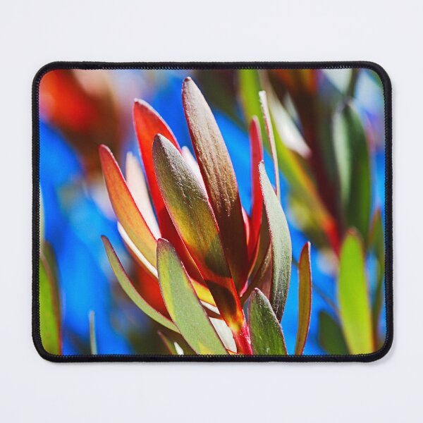 Item preview, My Leaves On The Tree designed and sold by Joy Watson - Natural Light Photography .