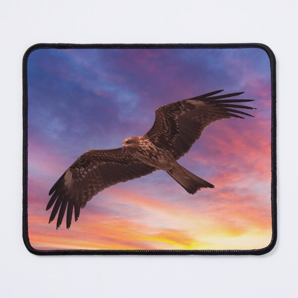 Item preview, In Flight designed and sold by Gavin Varney.