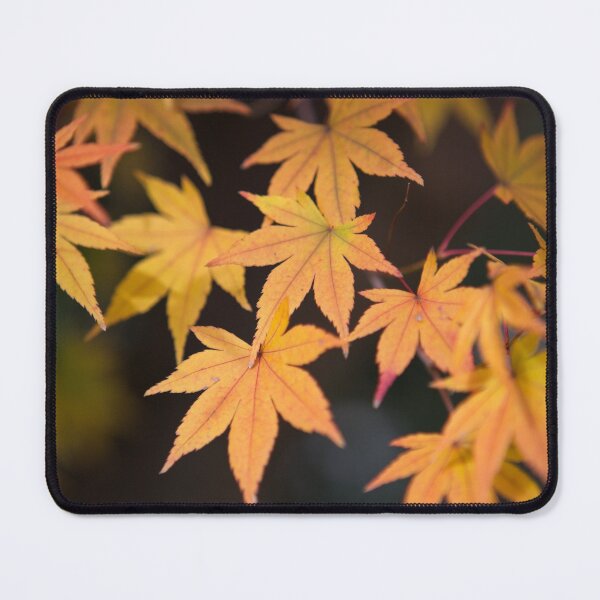 Item preview, Changing designed and sold by Gavin Varney.