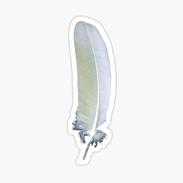 White Feather with Yellow Tinge - Magpie Springs Wildlife by Avril Thomas Sticker
