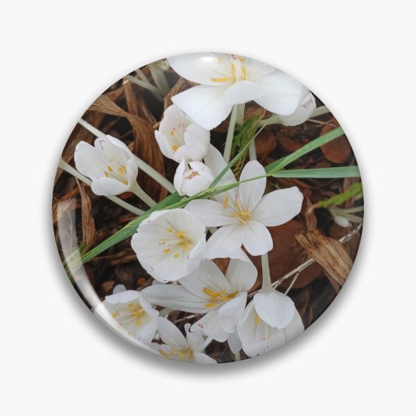 Item preview, snow flowers designed and sold by JimSheridan.