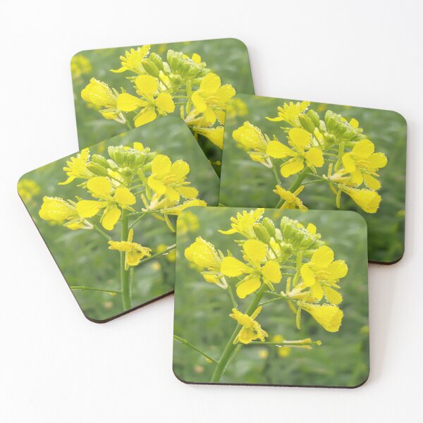 Item preview, mustard flower  designed and sold by Vipul-shop.