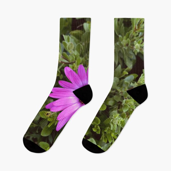 Item preview, Pink Purple Fuchsia Daisy in the Garden designed and sold by Quoppidou.