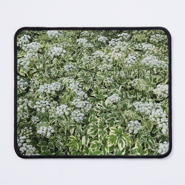Item preview, Flowers, variegated leafy green white background designed and sold by MostSplendid.