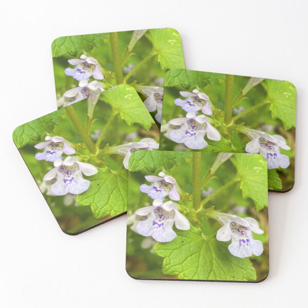 Item preview, flowers with white petals, blue specks designed and sold by MostSplendid.