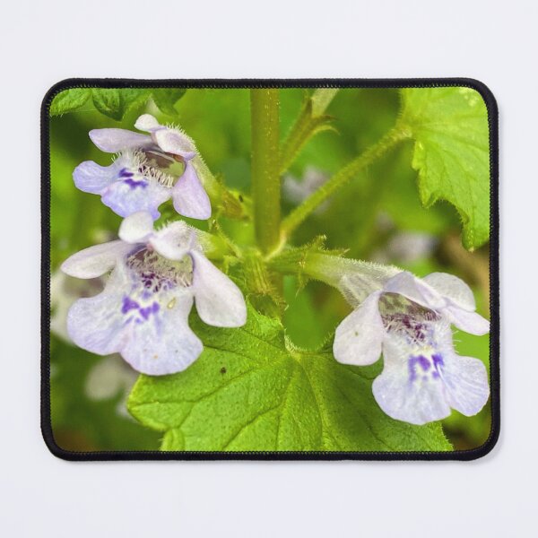 Item preview, flowers with white petals, blue specks designed and sold by MostSplendid.