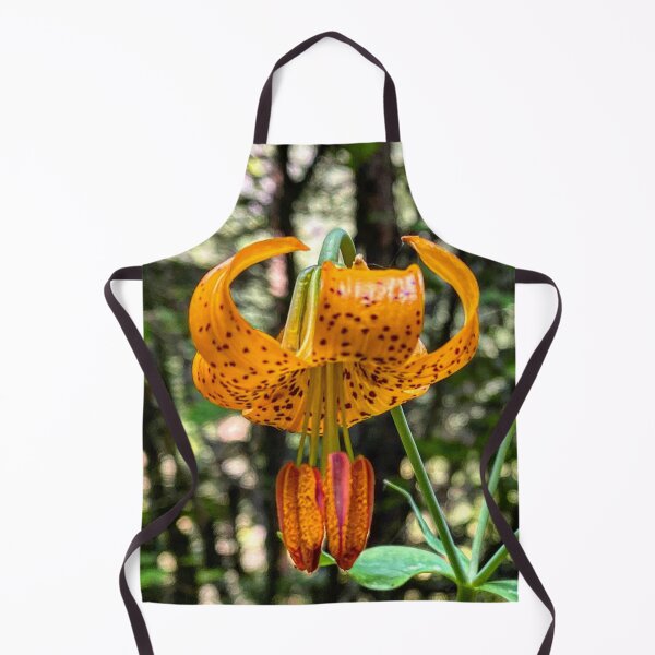 Item preview, Columbia Lily Lilium columbianum wildflower orange brown specks designed and sold by MostSplendid.