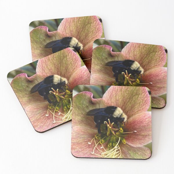 Item preview, Bumble bee on lenten rose flower designed and sold by MostSplendid.