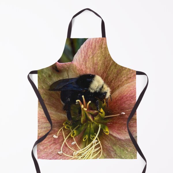 Item preview, Bumble bee on lenten rose flower designed and sold by MostSplendid.