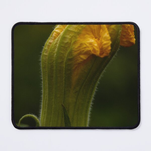 Item preview, Pumpkin Flower 1 designed and sold by Geoff Treagus.