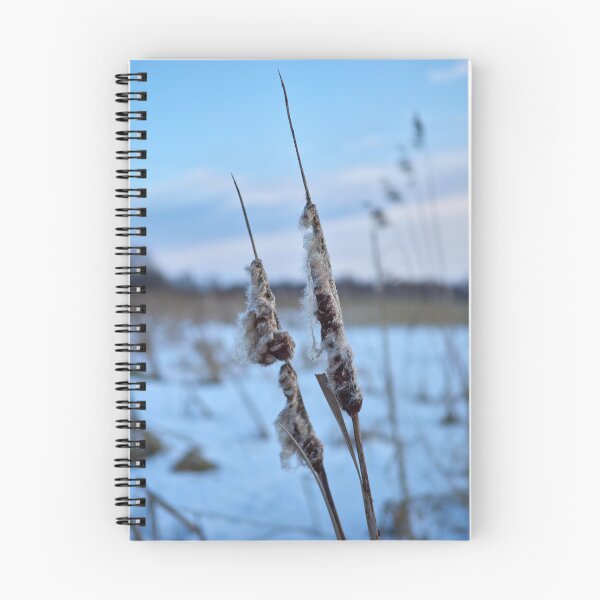 Item preview, Bulrush in blue. Kulovesi views 2024 designed and sold by Jouko Lehto Photography.