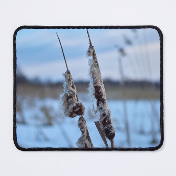 Item preview, Bulrush in blue. Kulovesi views 2024 designed and sold by Jouko Lehto Photography.