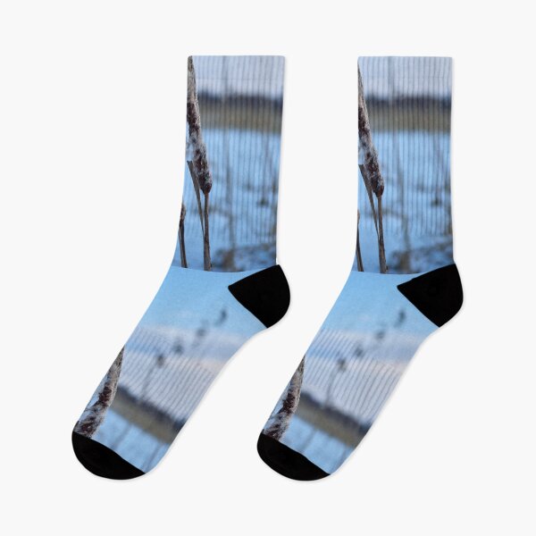 Item preview, Bulrush in blue. Kulovesi views 2024 designed and sold by Jouko Lehto Photography.