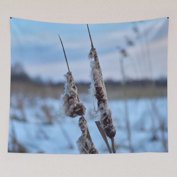 Item preview, Bulrush in blue. Kulovesi views 2024 designed and sold by Jouko Lehto Photography.