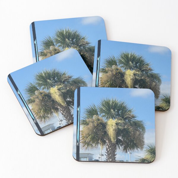 Item preview, Iconic Palmetto Tree in Charleston, South Carolina: A Symbol of Southern Beauty designed and sold by MMVisualArts.