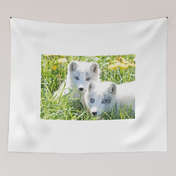 Item preview, Arctic fox and kit designed and sold by James Cumming.
