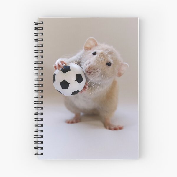 Item preview, ¡Me encanta jugar! designed and sold by Ellen van Deelen.
