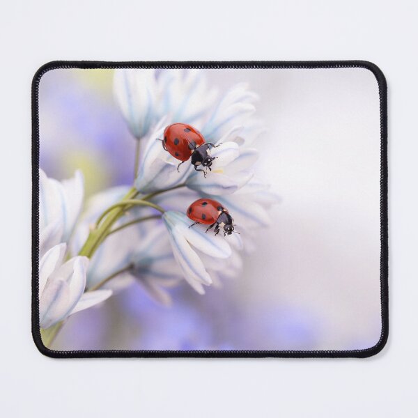 Item preview, Ladybirds designed and sold by Ellen van Deelen.