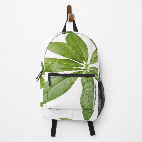 Item preview, Pachira Aquatica - Money Tree designed and sold by cherrynat1.