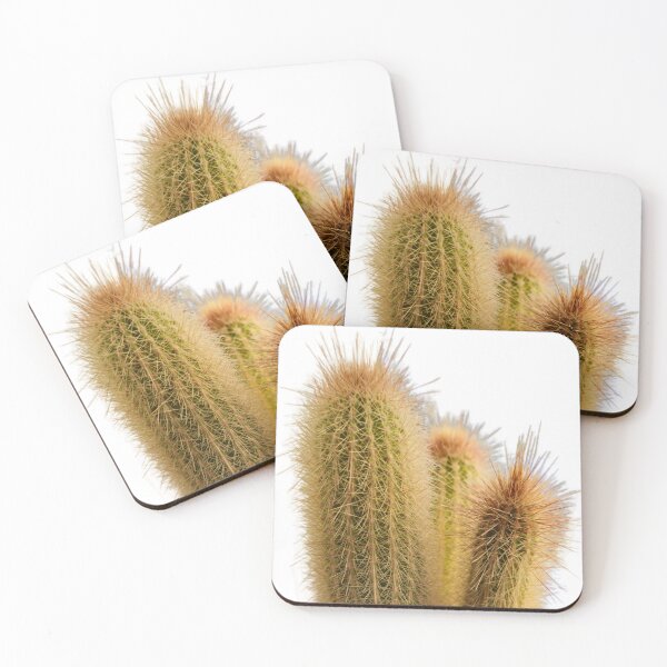 Item preview, Notocactus- photograph  designed and sold by cherrynat1.