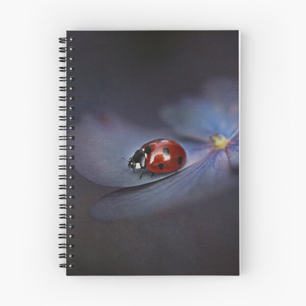 Item preview, Ladybird.... designed and sold by Ellen van Deelen.