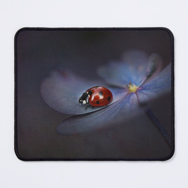 Item preview, Ladybird.... designed and sold by Ellen van Deelen.