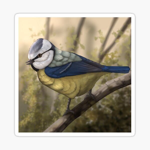 Item preview, Blue Tit designed and sold by DragonArtist15.