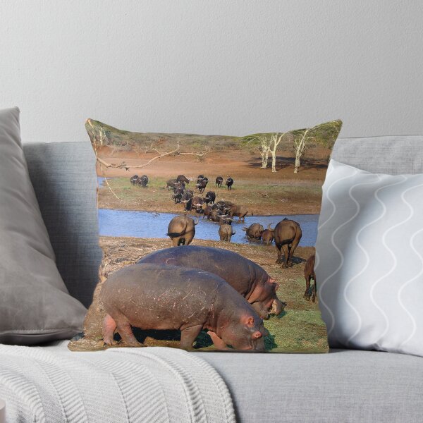 Item preview, Hippopotamus hippo Lake St Lucia Wetland Park South Africa designed and sold by AndyEvansPhotos.