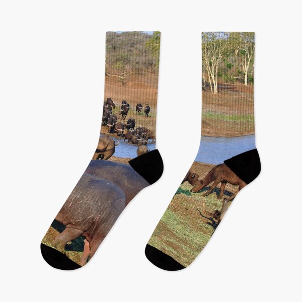 Item preview, Hippopotamus hippo Lake St Lucia Wetland Park South Africa designed and sold by AndyEvansPhotos.