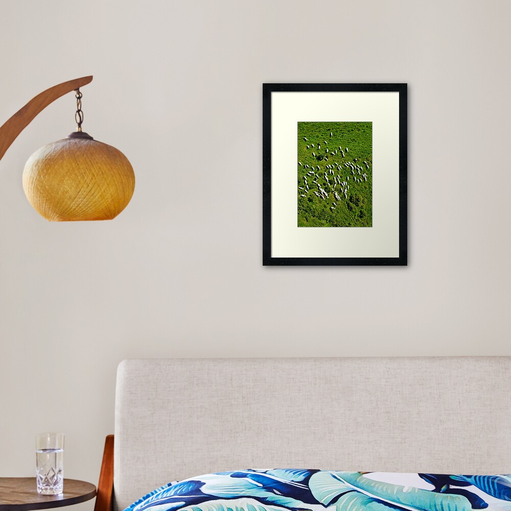 Sheeps Framed Art Print