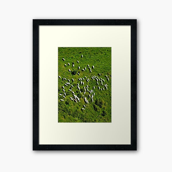 Framed Art Print
