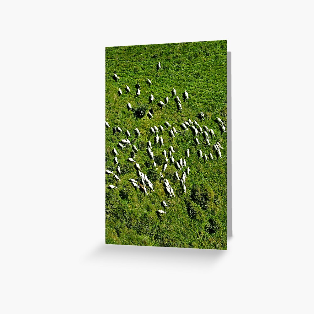 Item preview, Greeting Card designed and sold by DRONY.