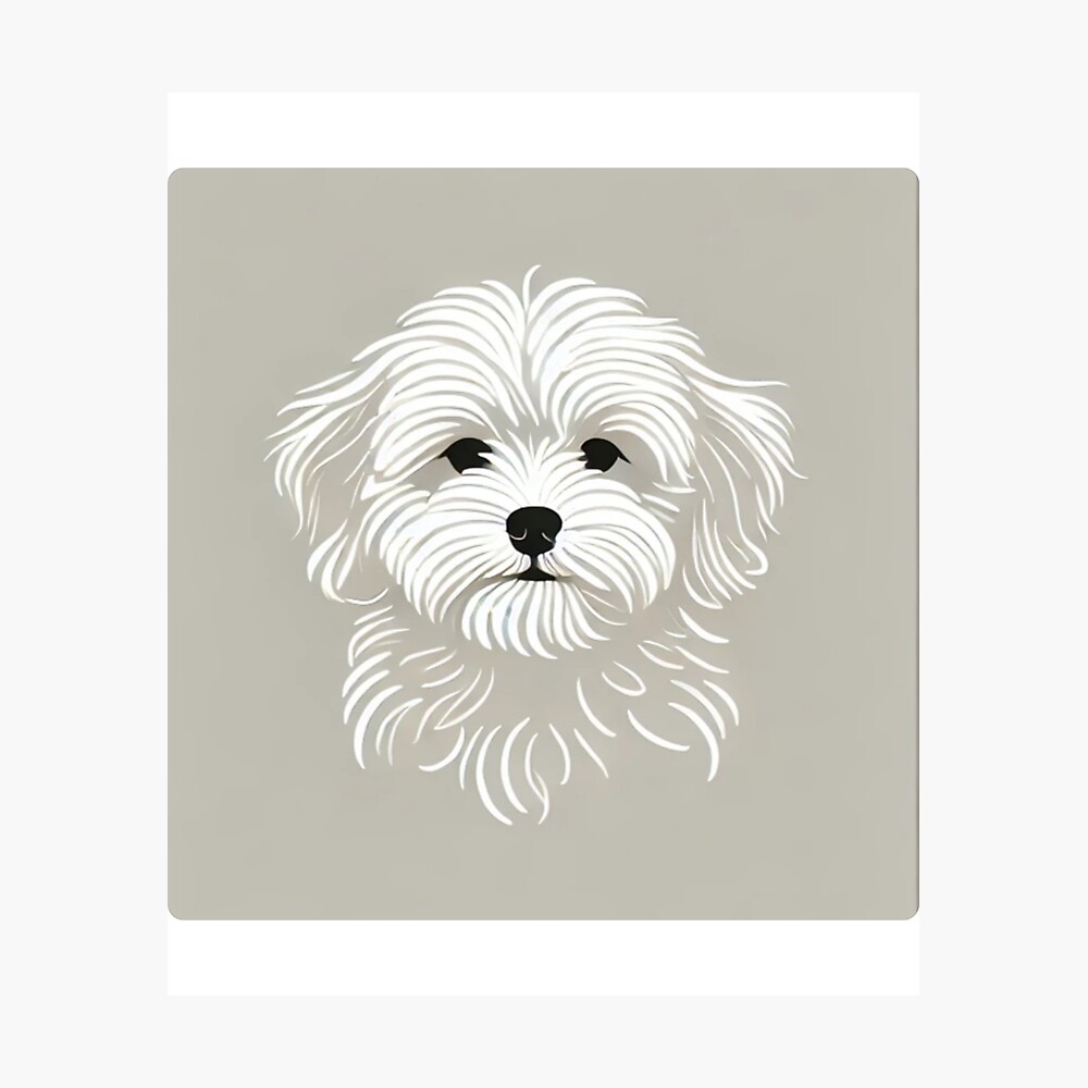 Minimalist Maltipoo Art - Modern Dog Lover Design Poster