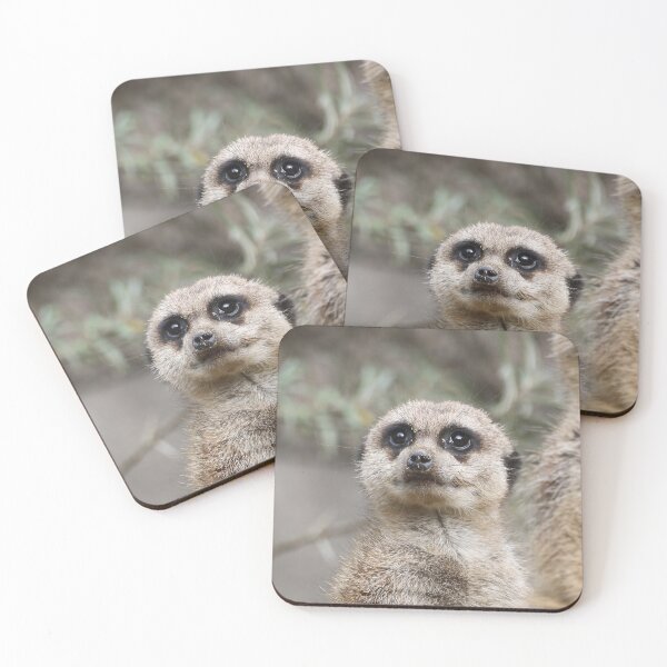 Item preview, Meerkat 082 designed and sold by JAMFoto.