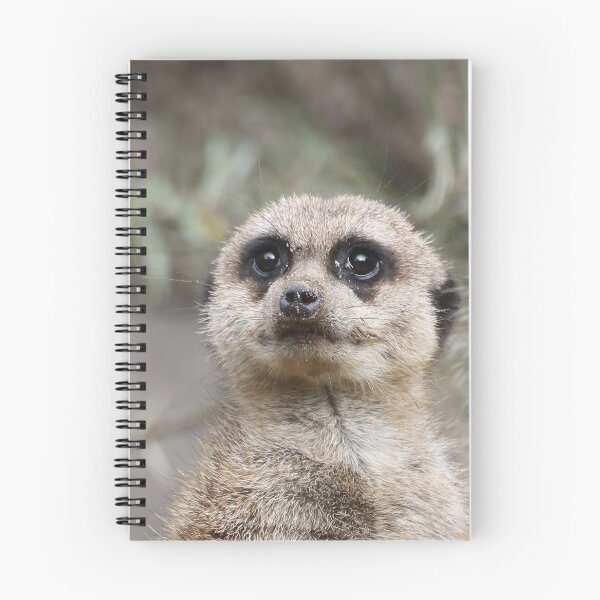 Item preview, Meerkat 082 designed and sold by JAMFoto.