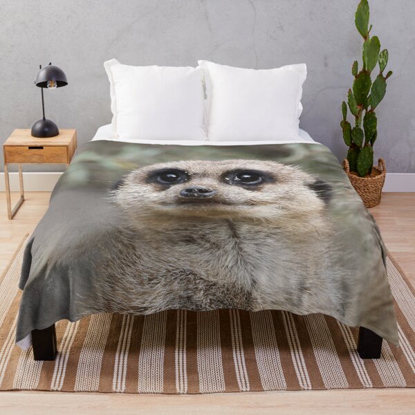 Item preview, Meerkat 082 designed and sold by JAMFoto.
