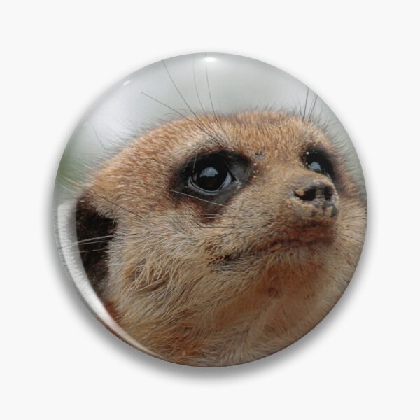 Item preview, Meerkat 148 designed and sold by JAMFoto.